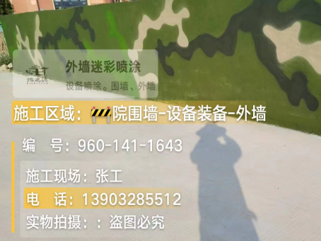 黔南 迷彩漆喷涂价格（按平方米计费）